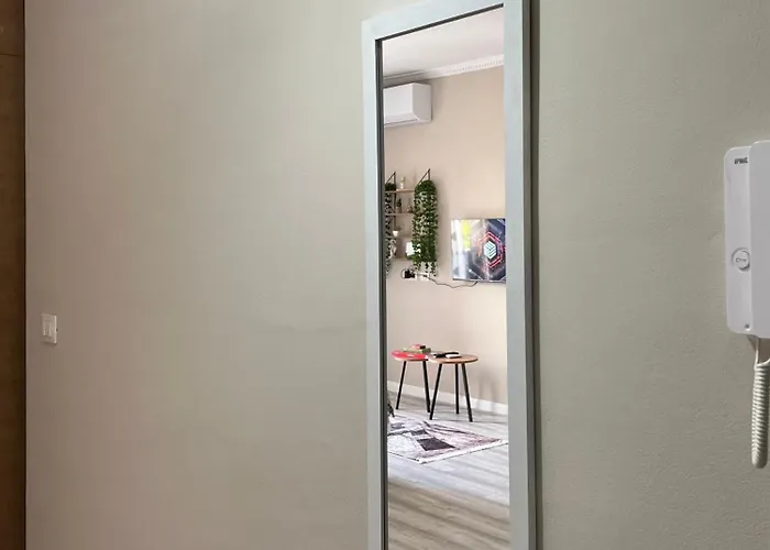 Soffi * ティラナ